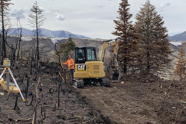 Removing Fire Damaged Trees and Brush