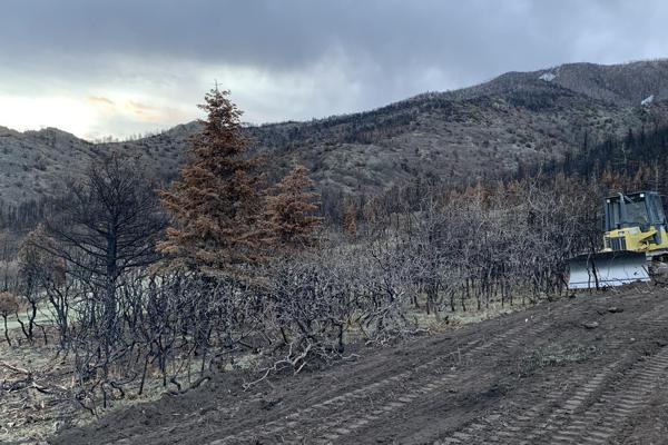 Removing Fire Damaged Trees and Brush