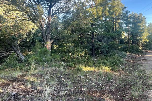 Before Fire Mittigation