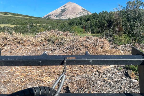 Before Fire Mittigation