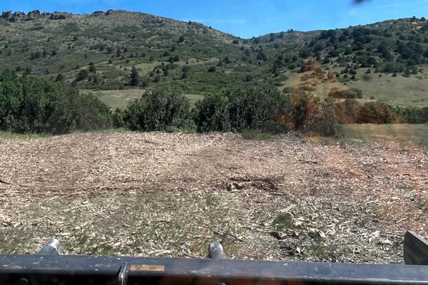 After Fire Mittigation