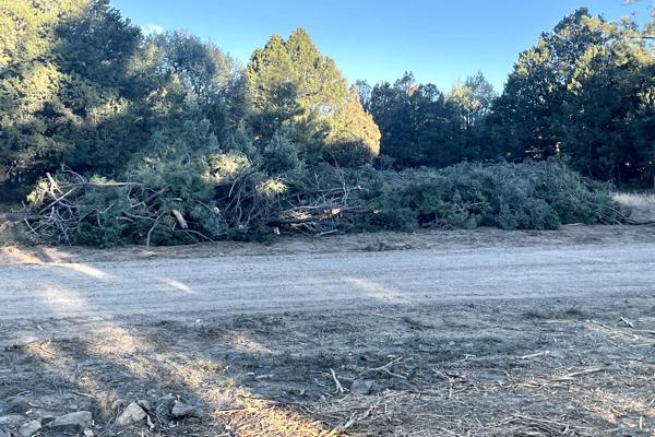 Before Fire Mittigation